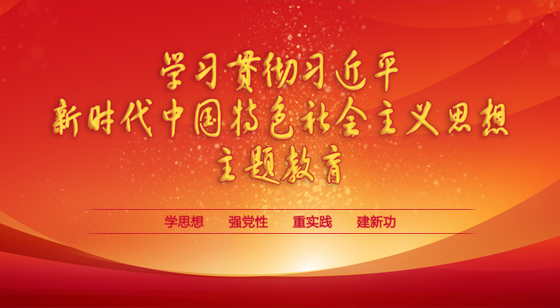 學(xué)習(xí)貫徹習(xí)近平新時(shí)代中國特色社會(huì)主義思想主題教育